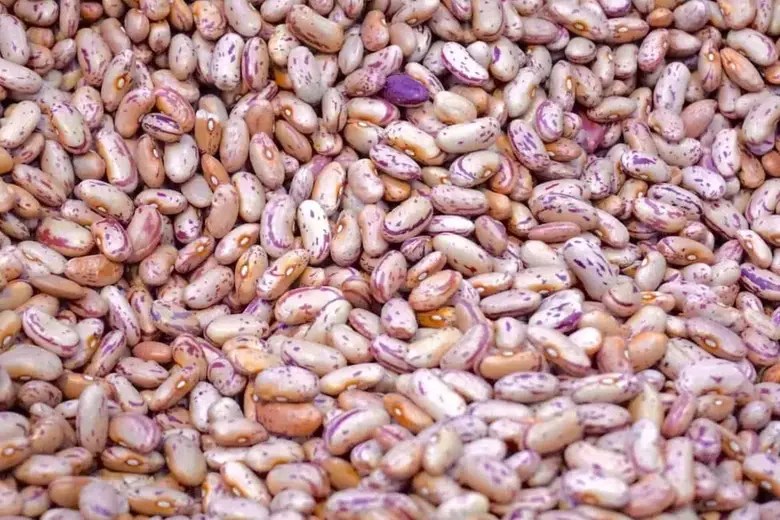Black beans vs. Pinto Beans What’s the Difference?