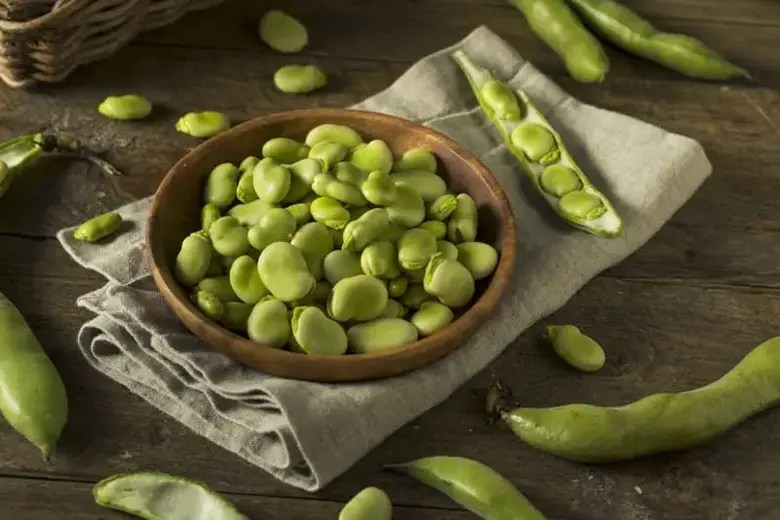 Lima beans vs. Beans What’s the difference?