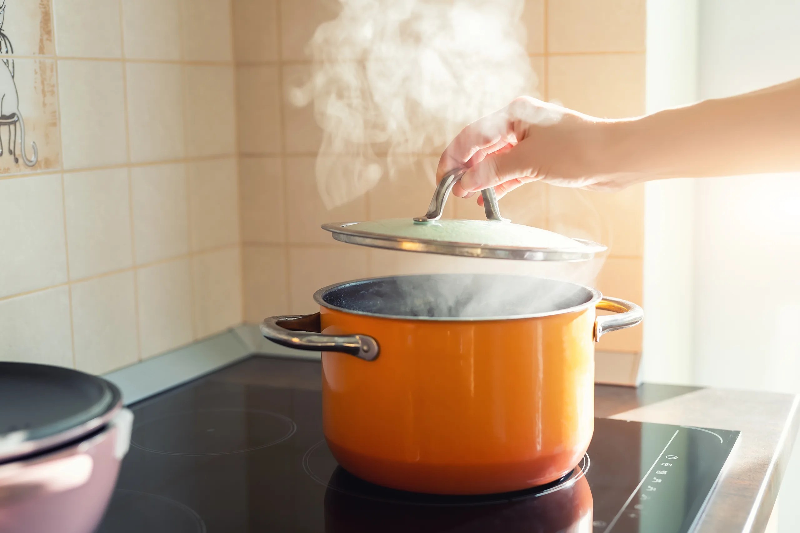 How Do I Cook Rice on an Induction Cooktop? Step by Step kitchenni
