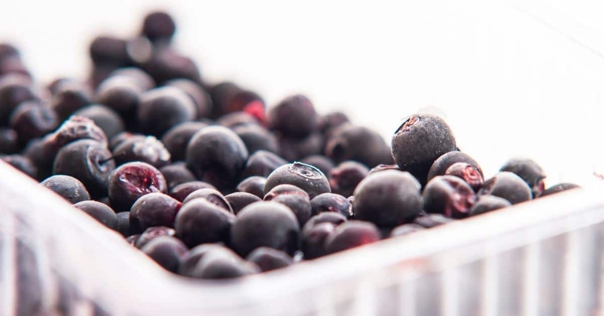 Blueberries How To Freeze and Thaw (The Right Way) Kitchenous