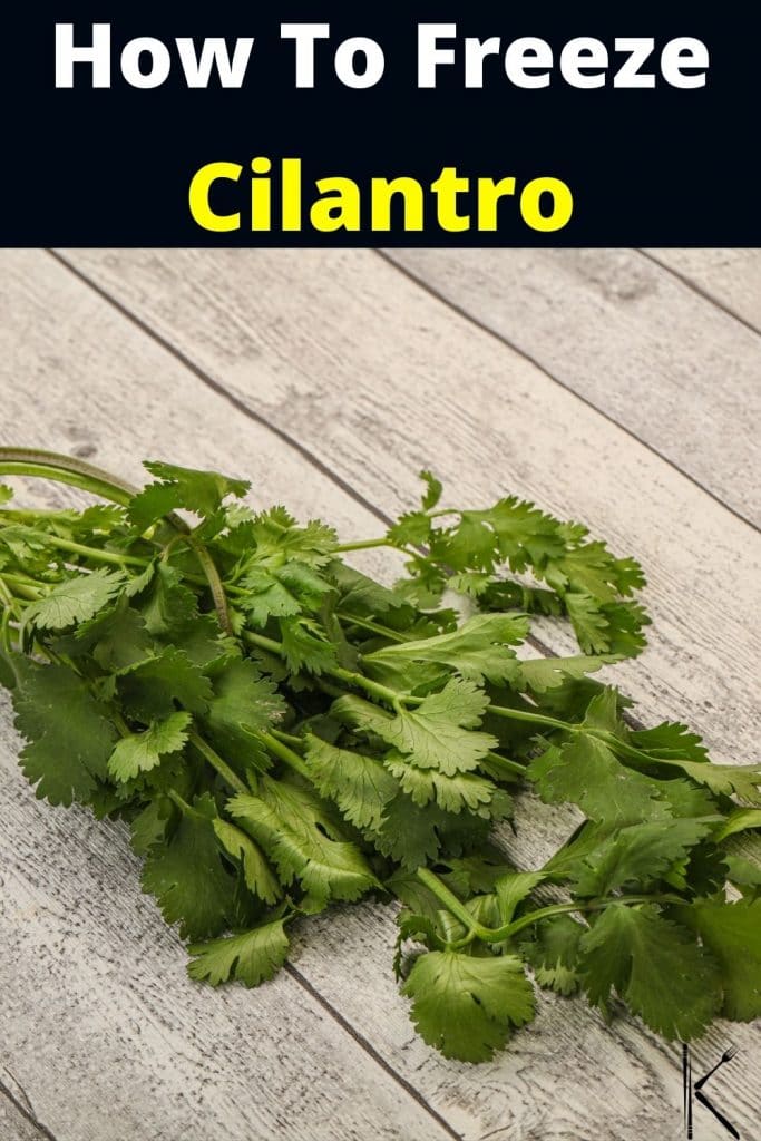 Can You Freeze Cilantro? How to Store This Herb for Later Kitchenous
