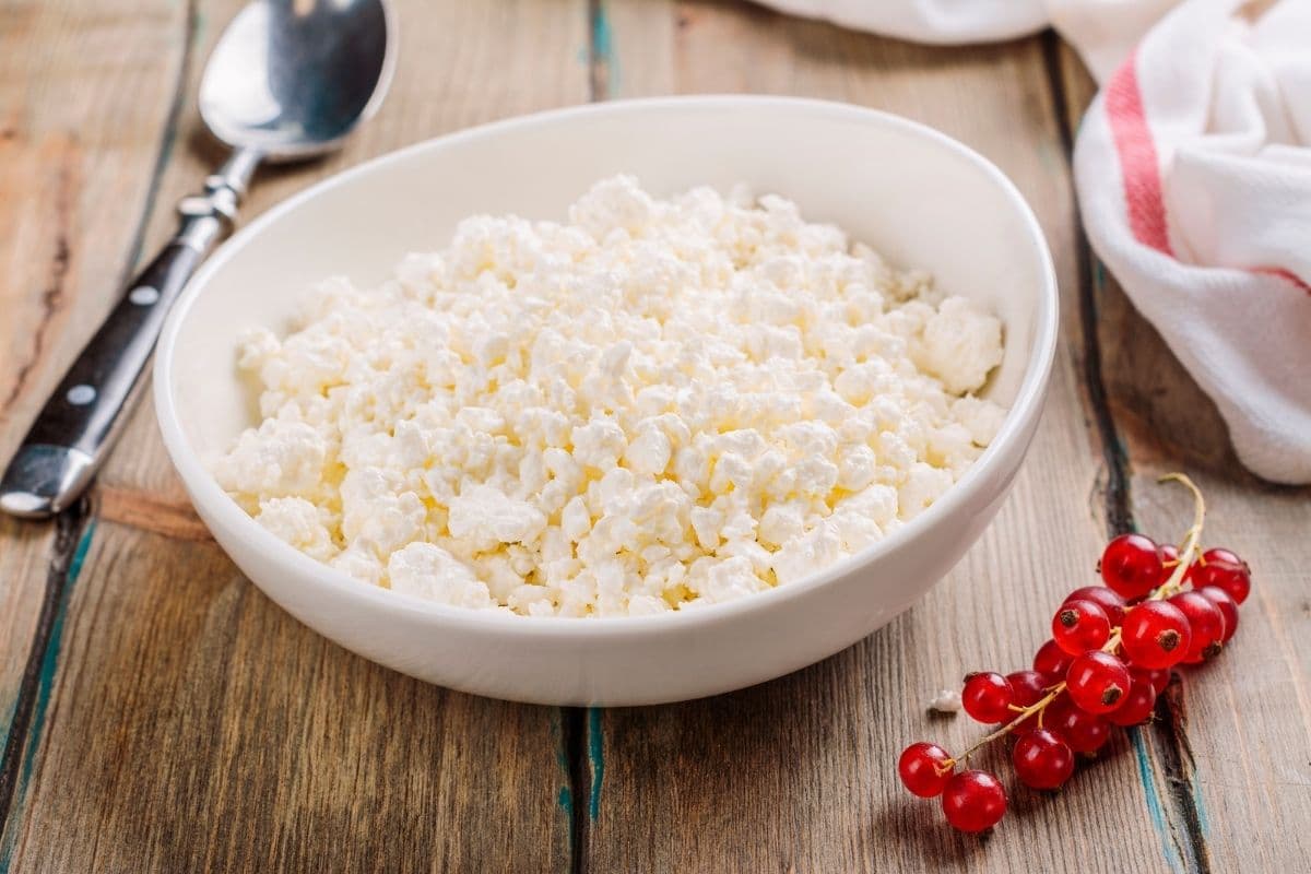 9 Farmer’s Cheese Substitutes How to Find the Best Match Kitchenous