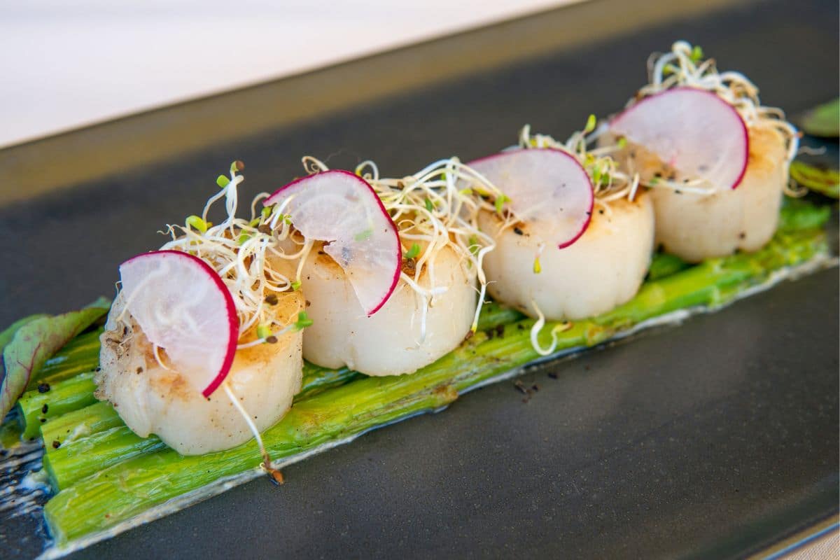 20 Side Dishes for Scallops Perfect Pairings Unveiled Kitchenous