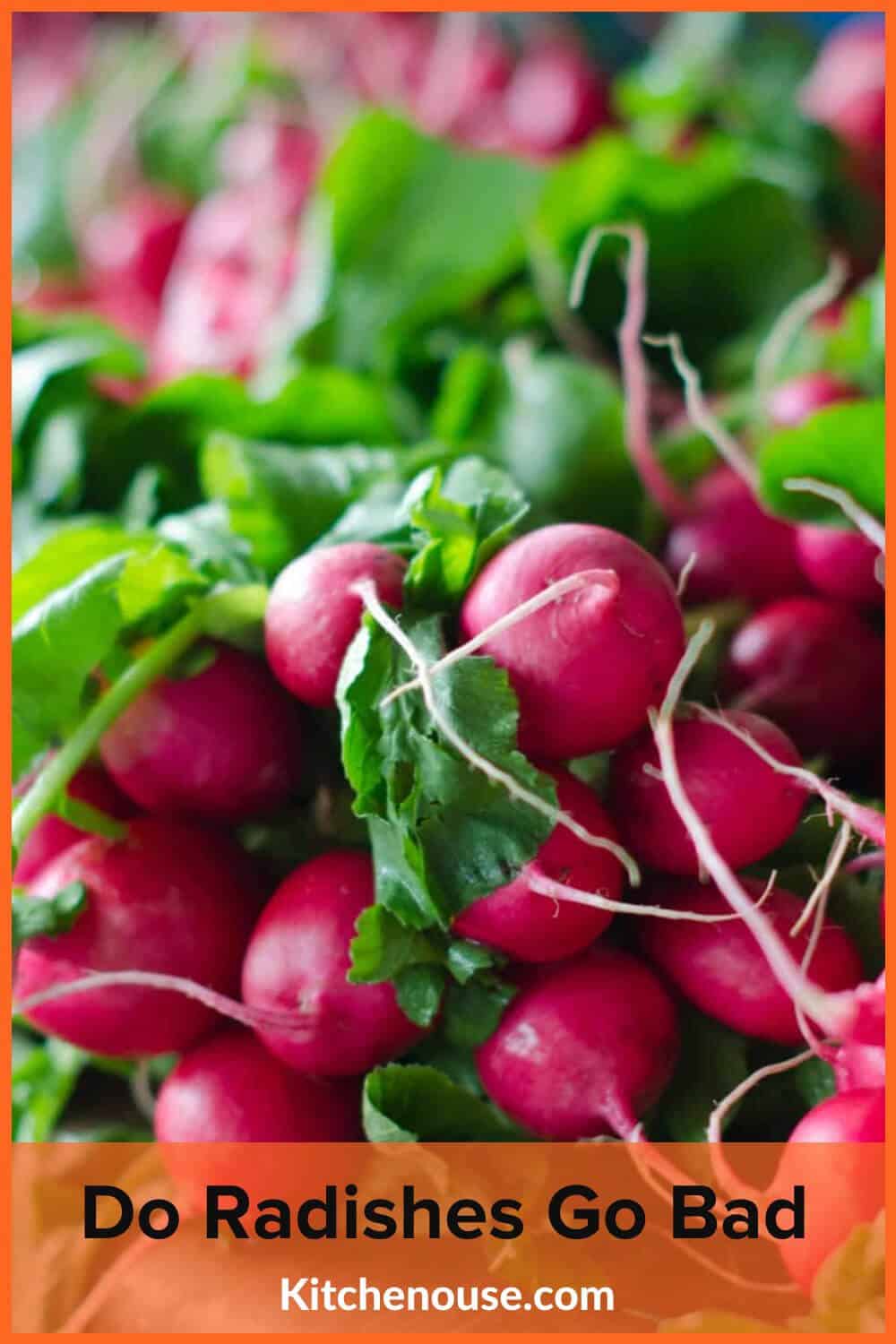 Do Radishes Go Bad