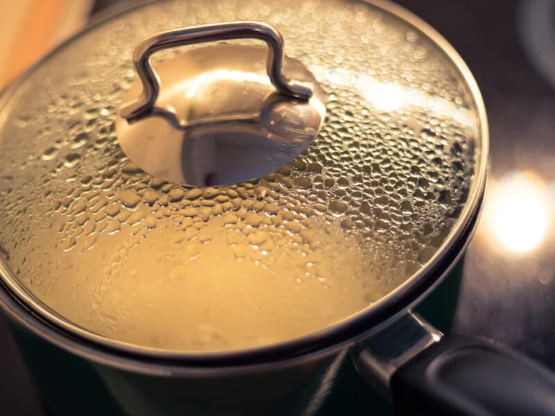 Rice Burning in Rice Cooker — What To Do