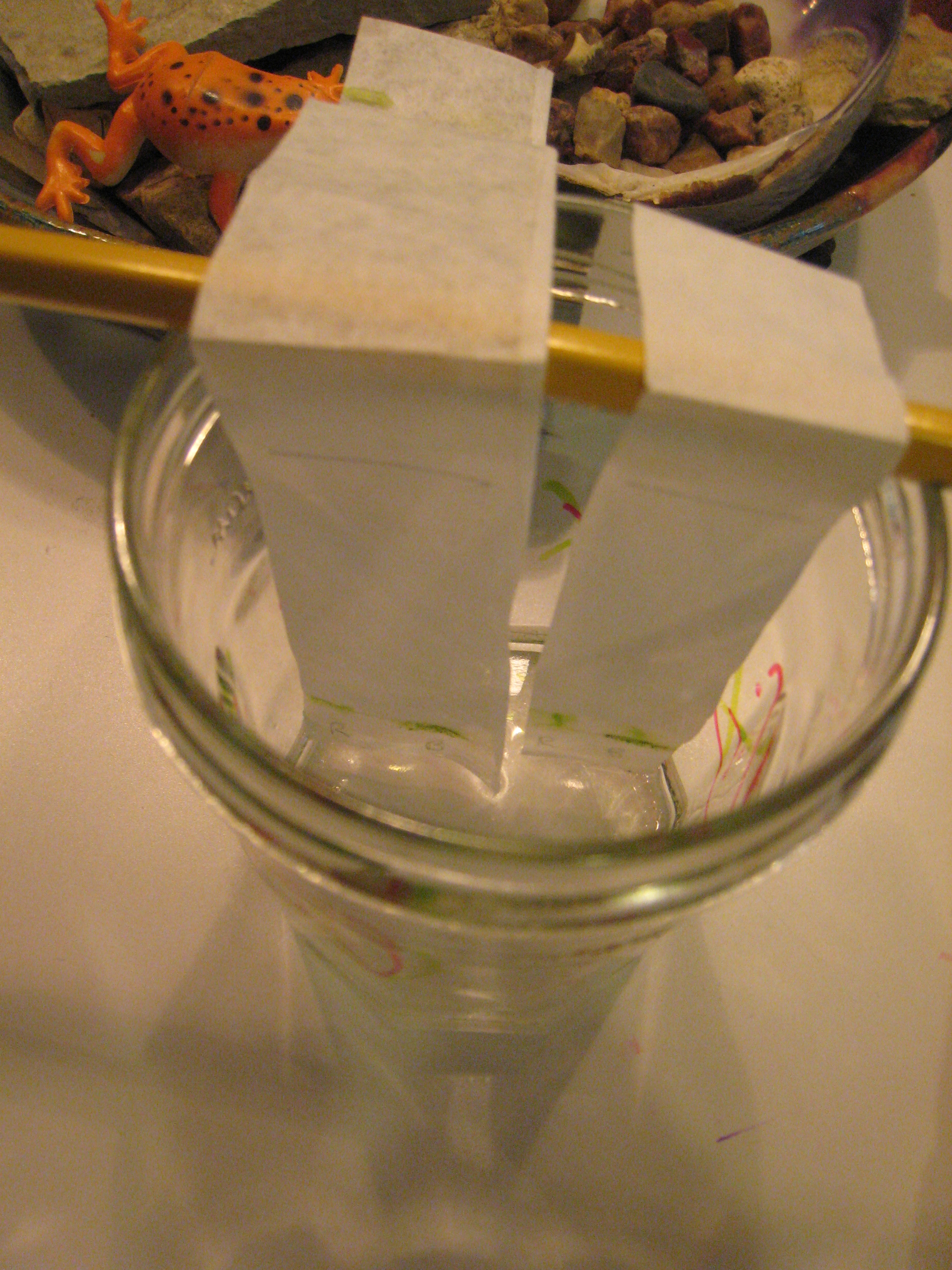 Plant Leaf Chromatography