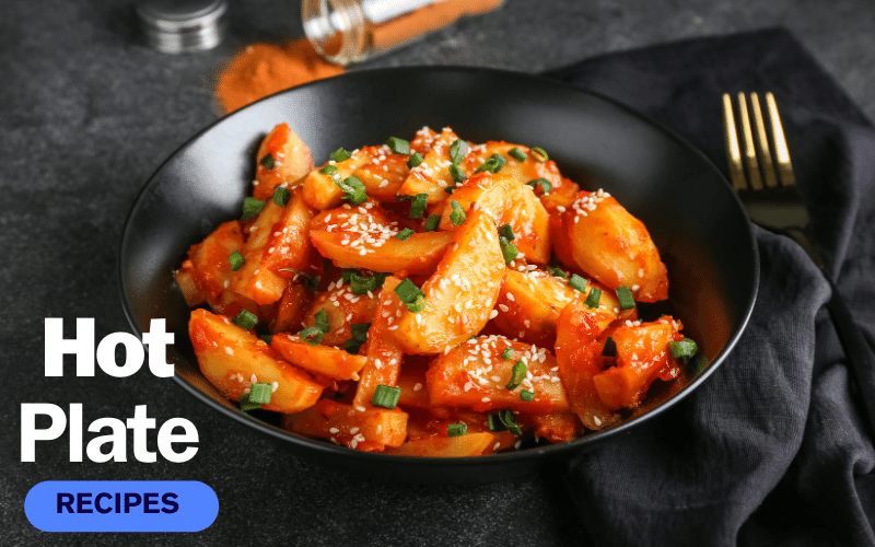 Hot Plate Recipes Tried & Tested