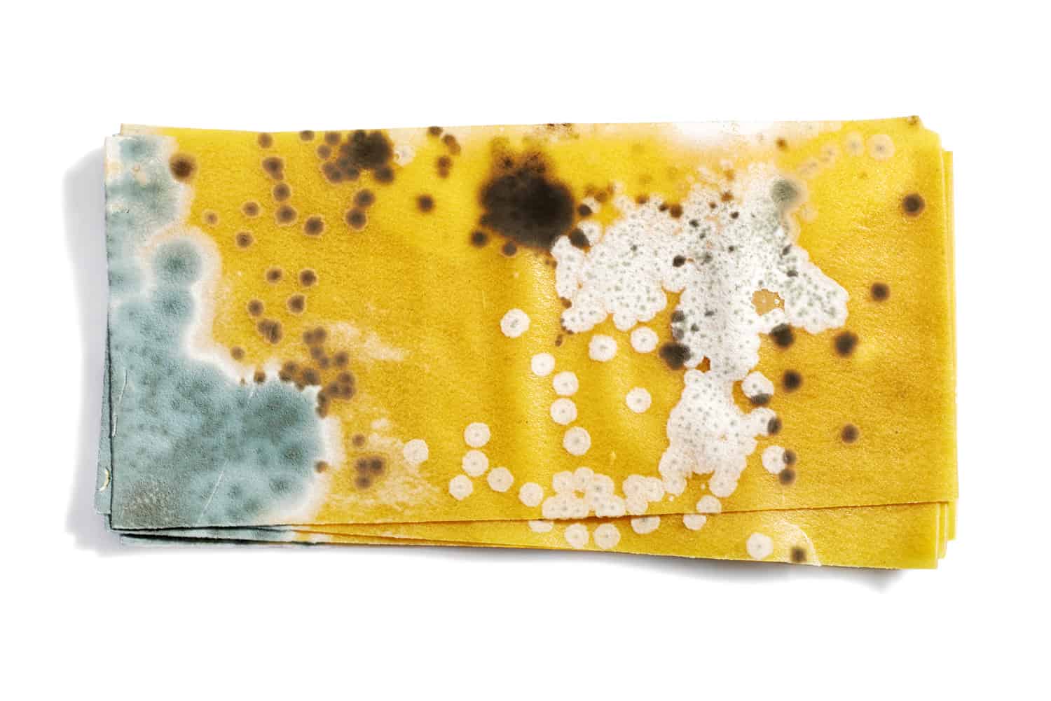 Does Dry Lasagna Expire? Kitchen Seer