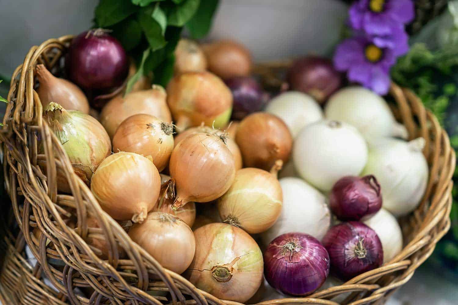 How Big Is A Medium Onion? Kitchen Seer