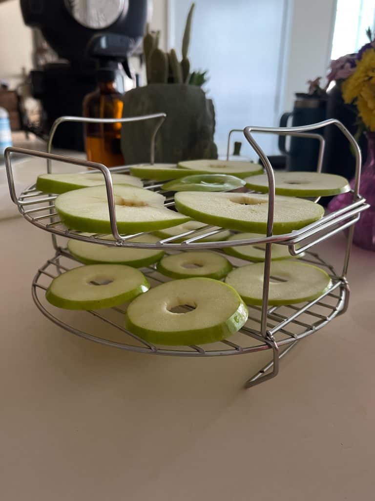 Ninja Foodi Deluxe Product Review Kitchen Seer