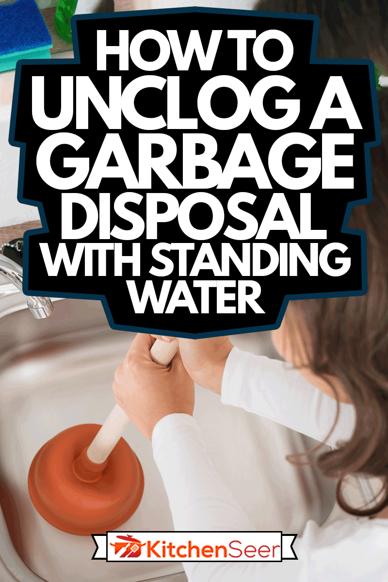 How To Unclog A Garbage Disposal With Standing Water Kitchen Seer