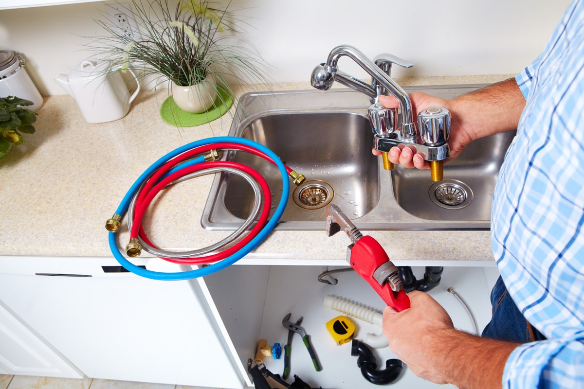 Garbage Disposal Not Draining—What To Do? Kitchen Seer