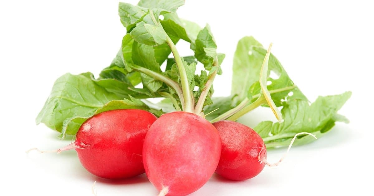 19 Tasty Vegetable Stems You Can Eat (With Pictures) Kitchensnitches