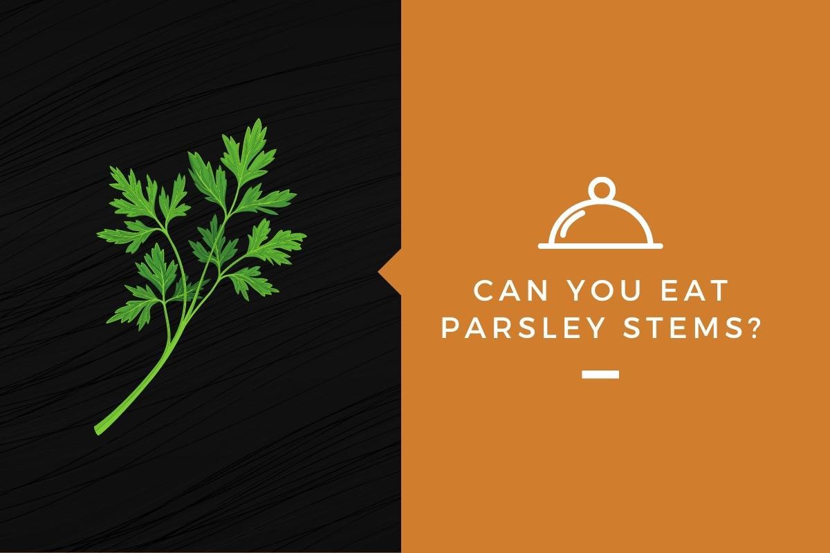 Can You Eat Parsley When It Flowers at Emma Duong blog