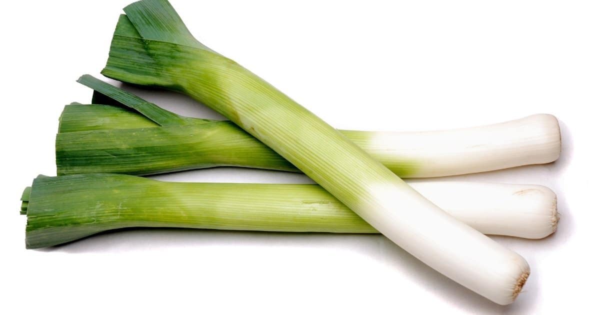 19 Tasty Vegetable Stems You Can Eat (With Pictures) Kitchensnitches