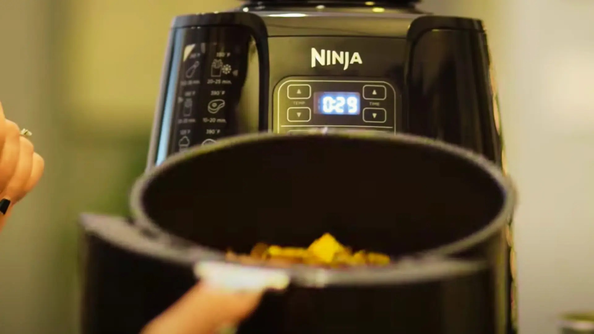 Can You Open Ninja Air Fryer While Cooking? KitchensPet