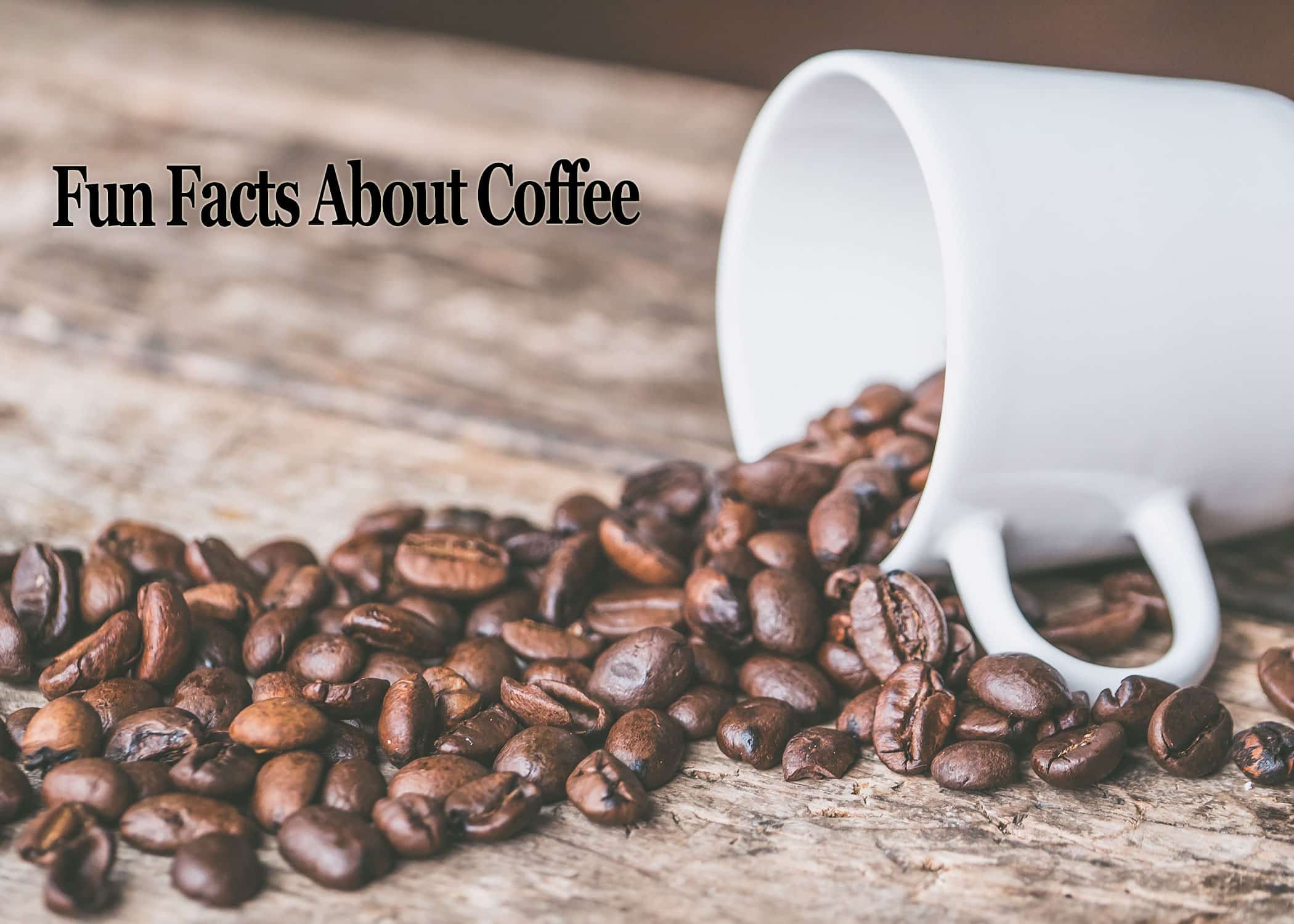 Fun Facts About Coffee You Should Know.