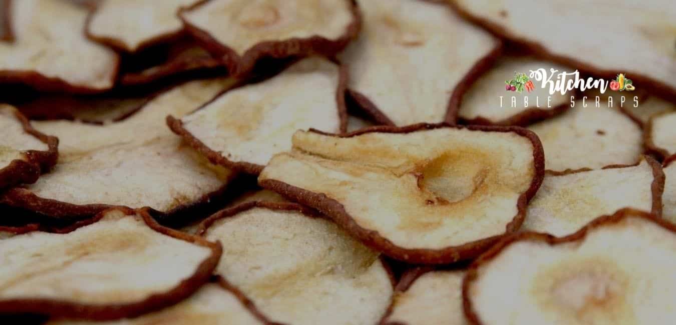 5 Easily Dehydrating Foods Kitchen Table Scraps