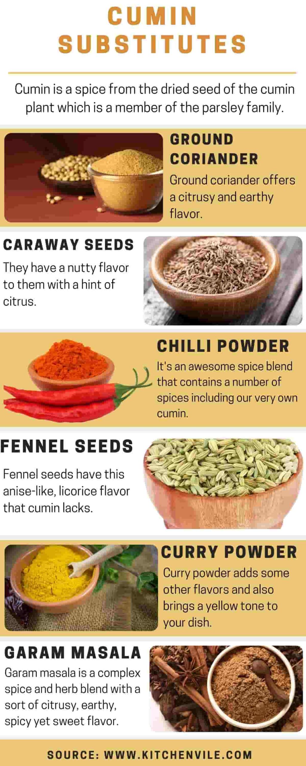 Cumin Substitutes KitchenVile