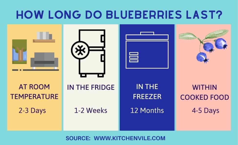 How long do Blueberries last? KitchenVile