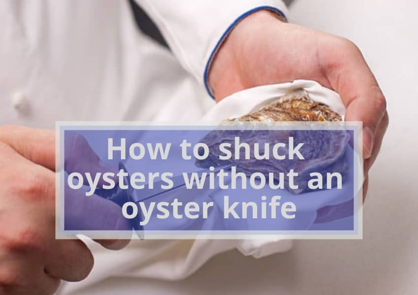 How To Shuck Oysters Without An Oyster Knife 2024 Kitchenzad