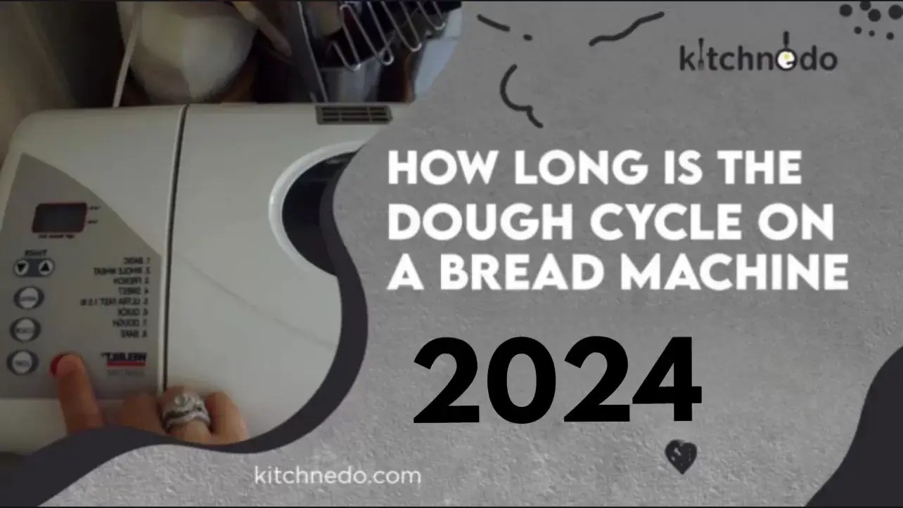 How Long Is the Dough Cycle On a Bread Machine | Kitchnedo