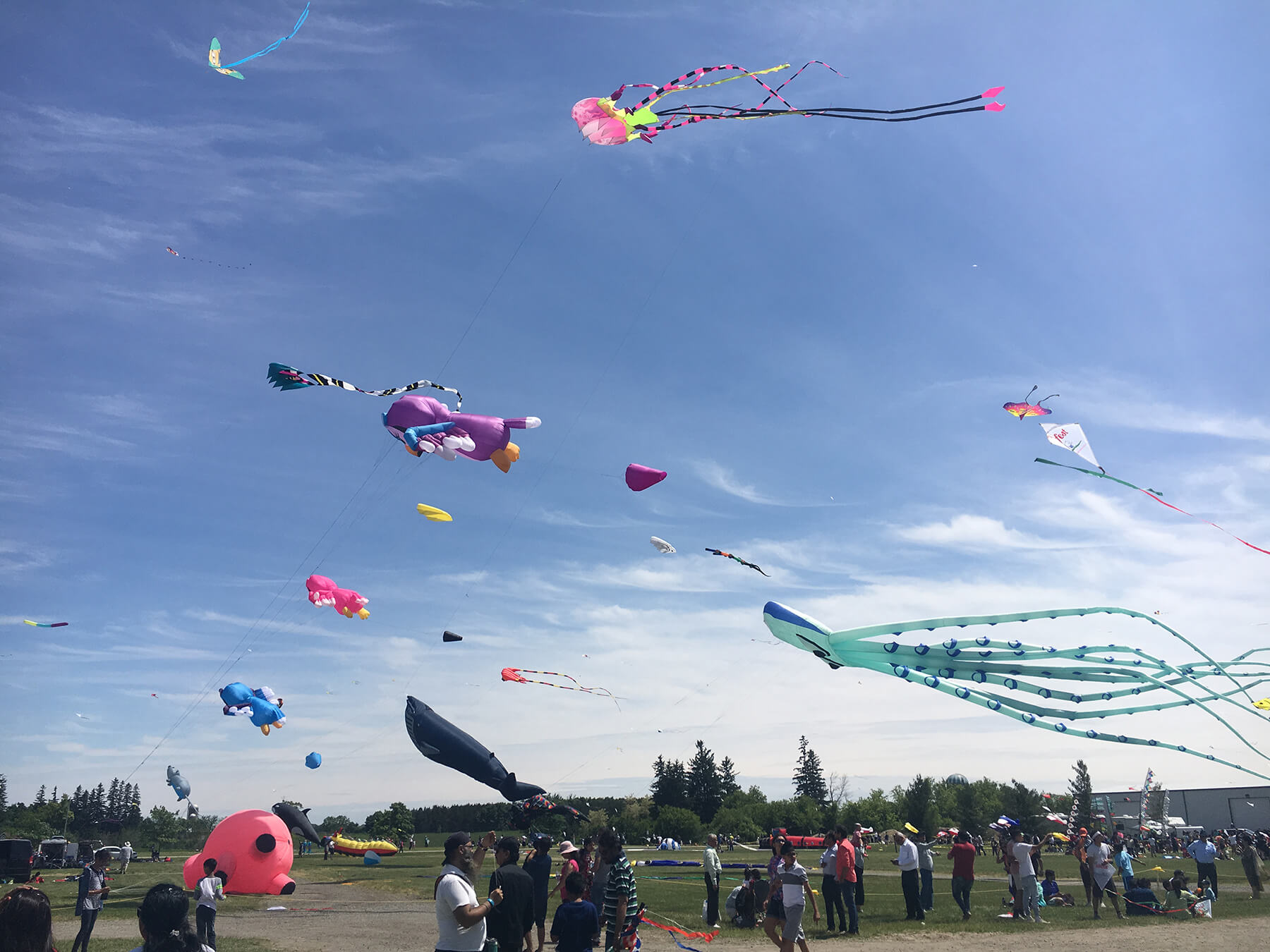 KiteFest Canada