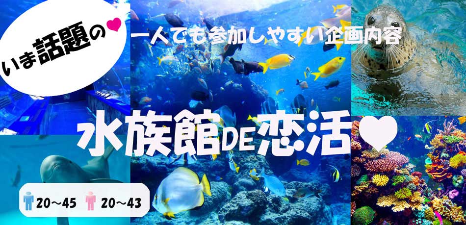 6/10 1240受付開始 1300～1540 仙台うみの杜水族館 紹介ページ 仙台市・宮城県のイベント情報の投稿サイト「きてけさin仙台」