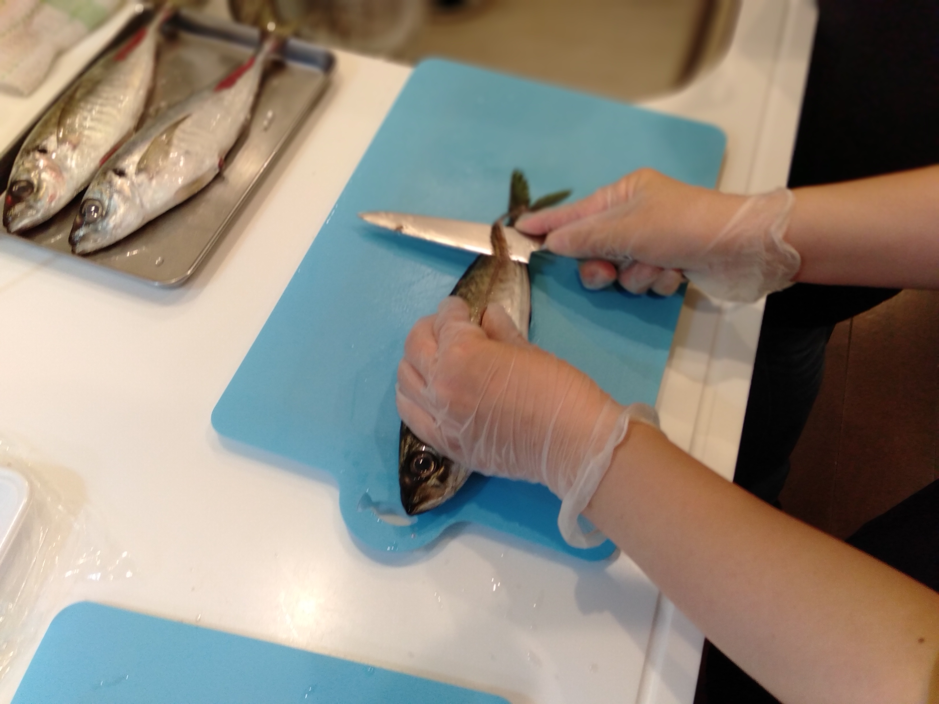 【職人技】魚のさばき方講座～アジの三枚おろし～ 紹介ページ 仙台市・宮城県のイベント情報の投稿サイト「きてけさin仙台」
