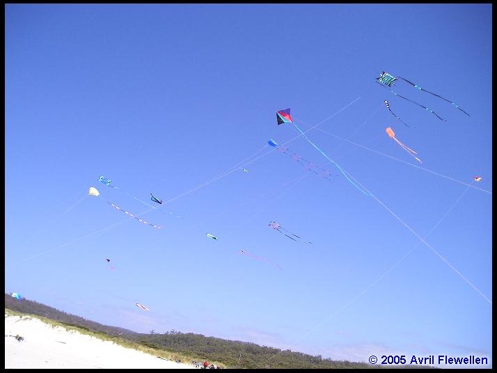 Issue 45 Devonport Kite Festival KiteLife®