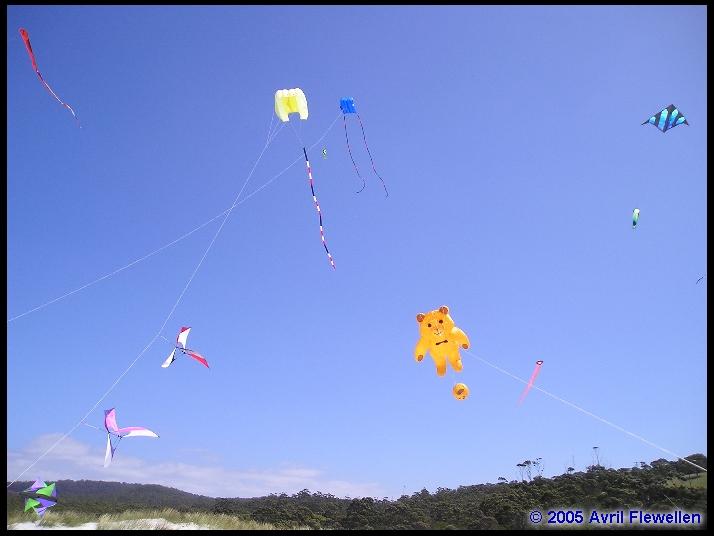 Issue 45 Devonport Kite Festival KiteLife®