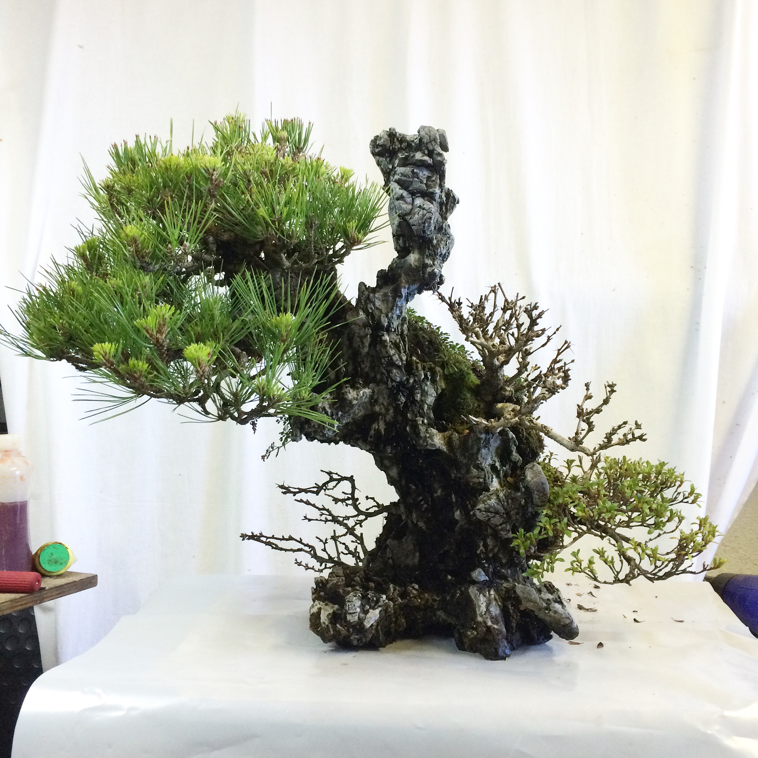 Ishizuki mochikomi Kitora no do