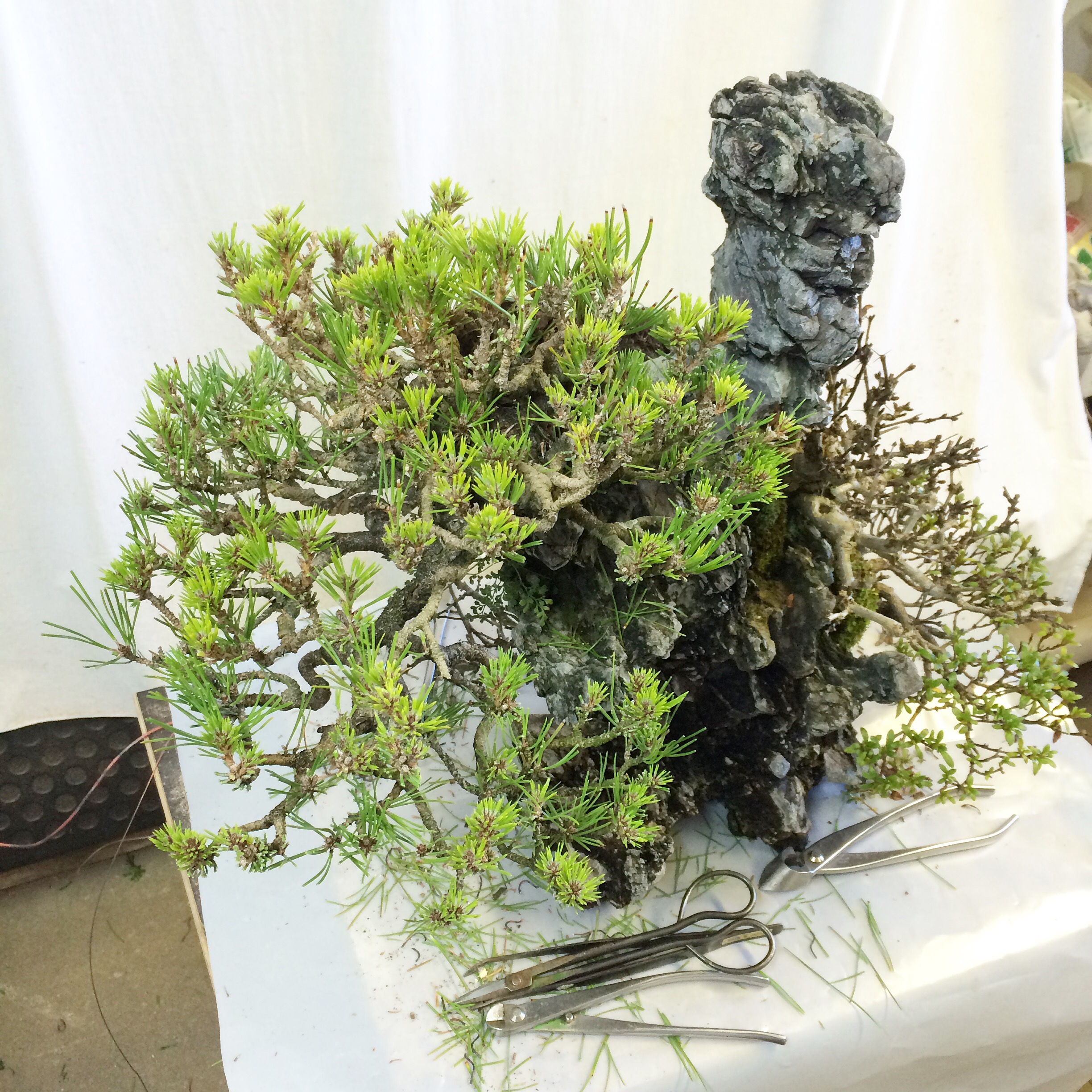 Ishizuki mochikomi Kitora no do