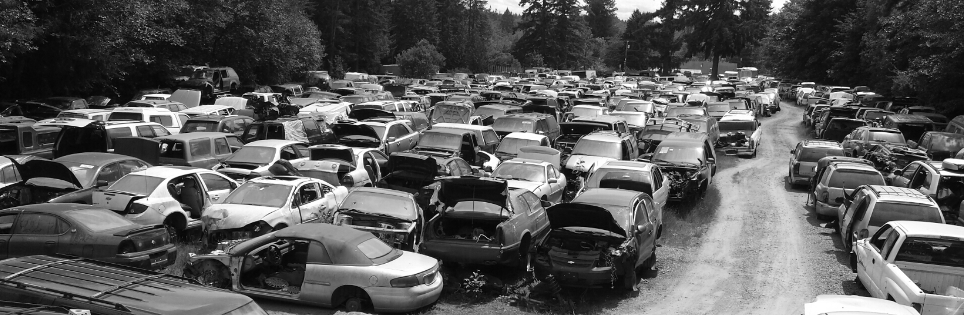 Auto Detailing Kitsap County at Dorothy Wells blog