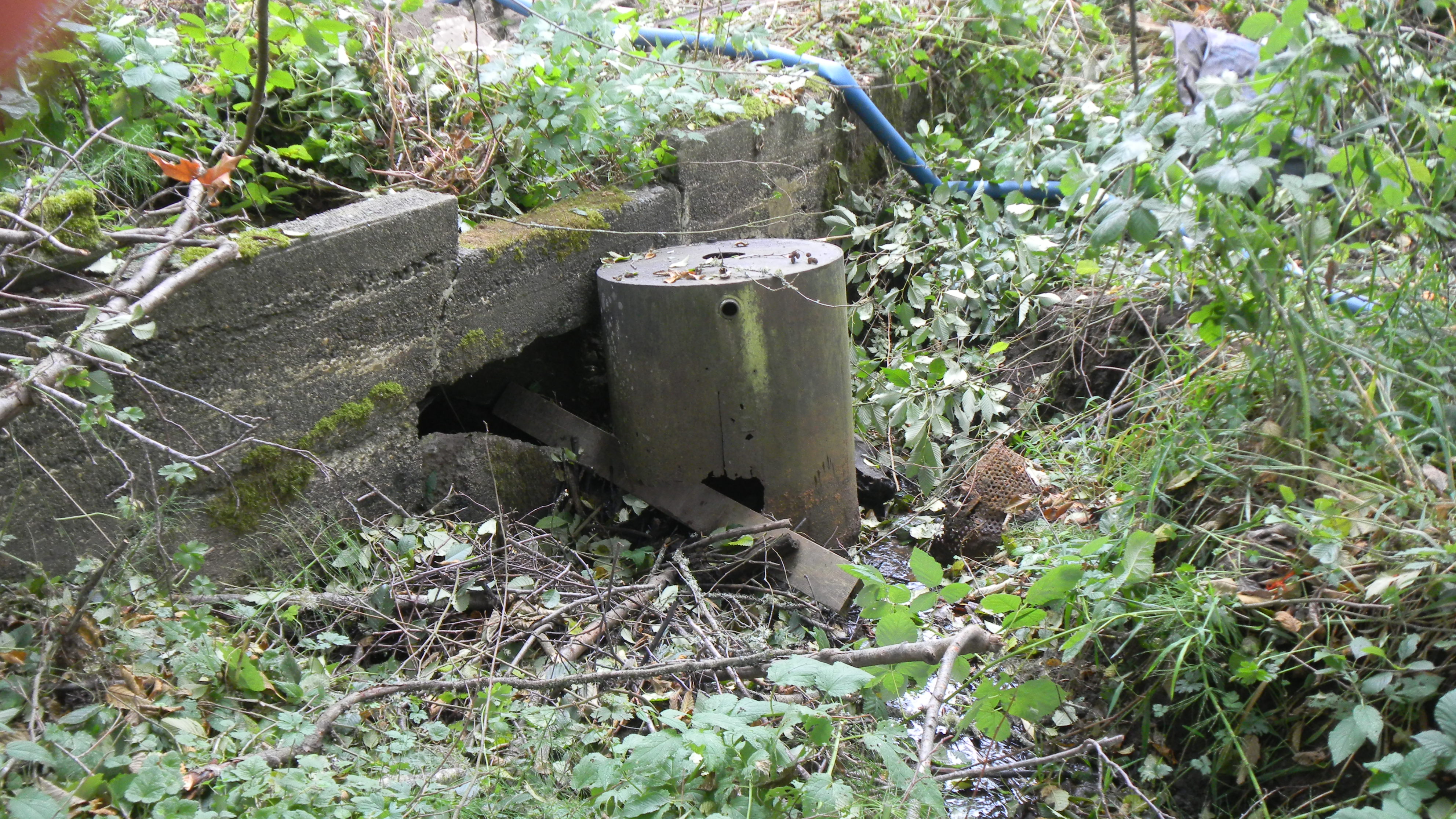 Backyard Habitat Program Kitsap Conservation District