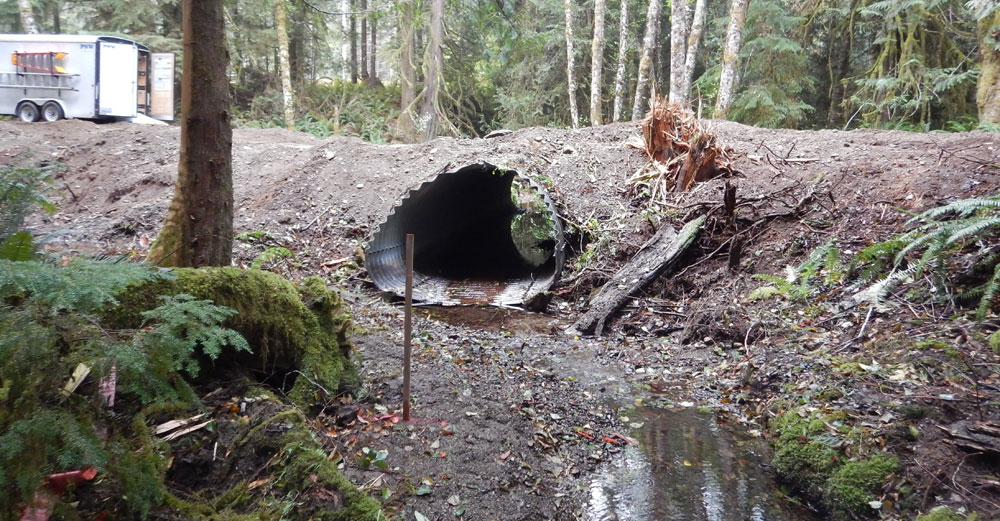 Backyard Habitat Program Kitsap Conservation District