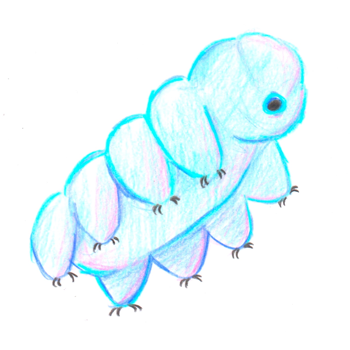 The Marvelous and Indestructible Water Bear kitsch