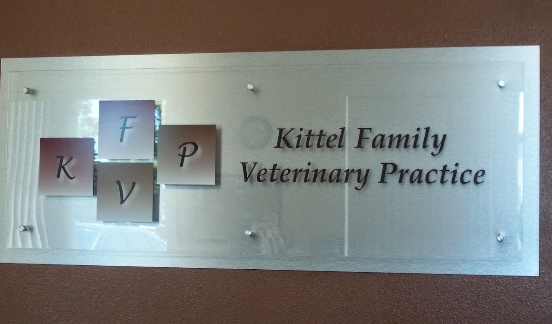 Veterinarian in Elk Grove, CA Kittel Family Veterinary Practice