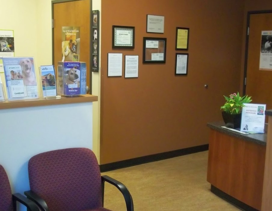 Veterinarian in Elk Grove, CA Kittel Family Veterinary Practice