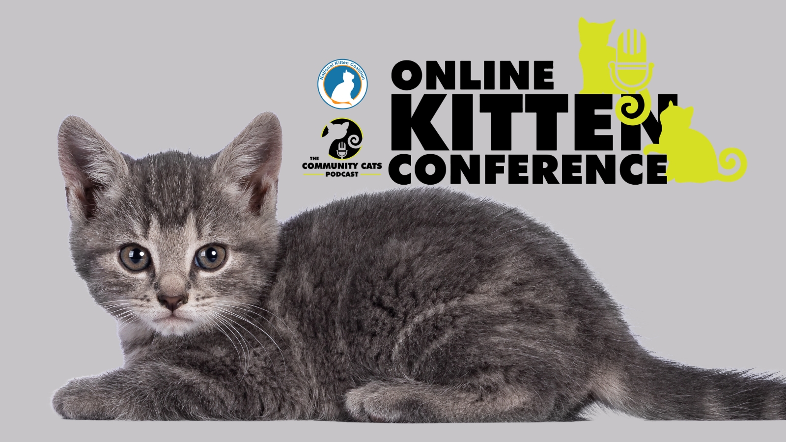 Online Kitten Conference_2023 National Kitten Coalition