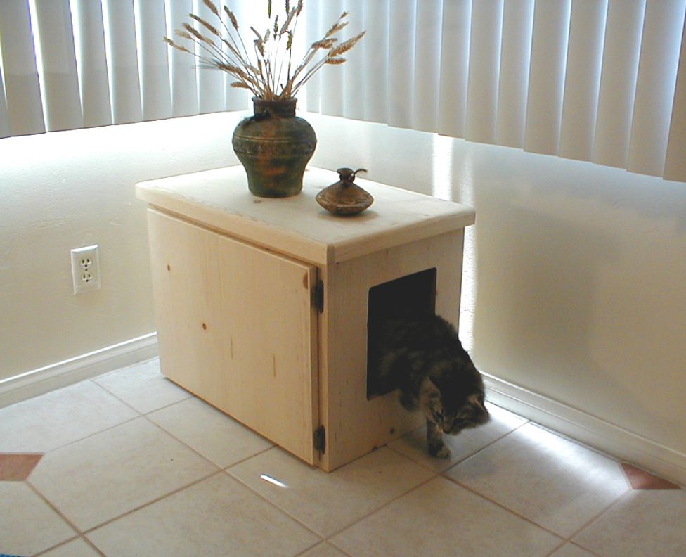 Quick Tips on Preventing Litter Box Problems