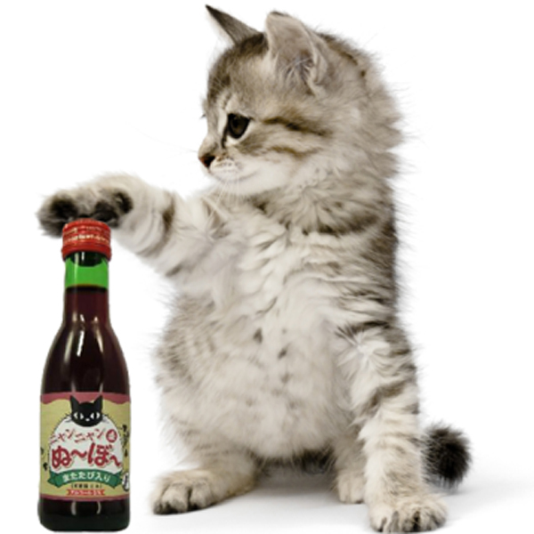 Wait a Second, There's Now Bottled Wine for Cats?Kittentoob