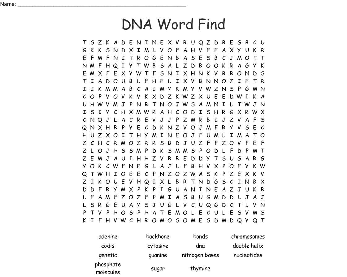 10 DNA Word Searches for You