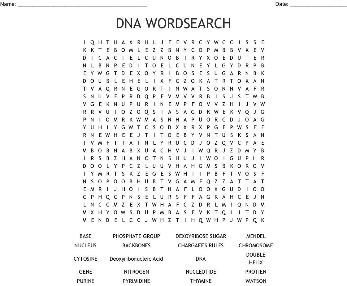 10 DNA Word Searches for You