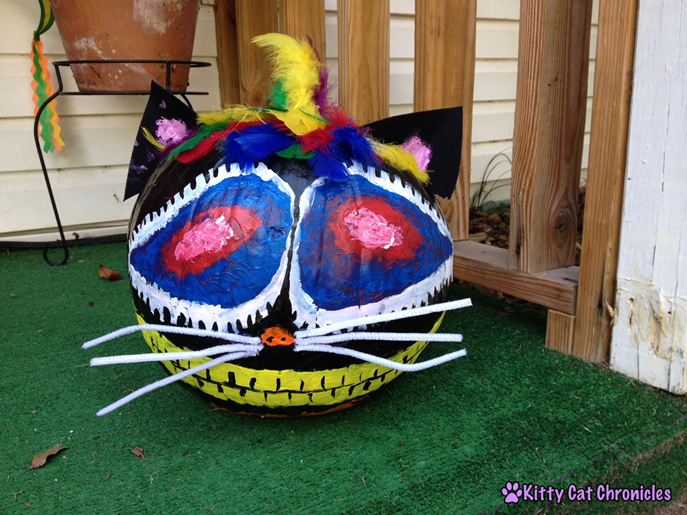 Halloween DIY Project Painted Cat Pumpkin Kitty Cat Chronicles