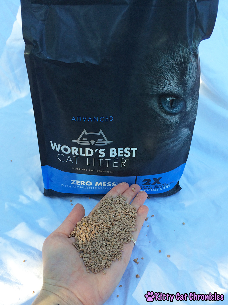 Say "Goodbye" to Mess and "Hello" to World's Best Cat Litter 