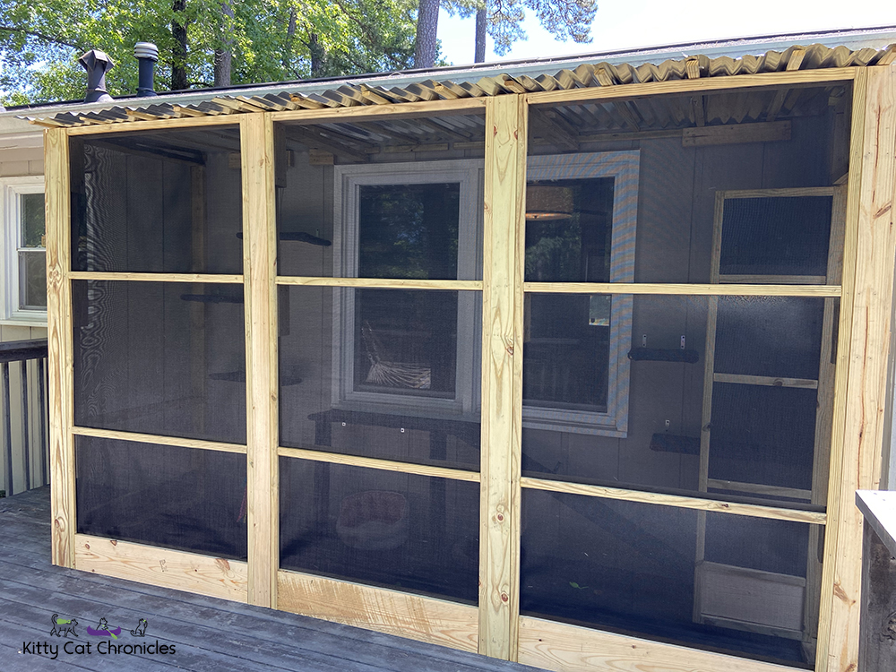 screened in catio