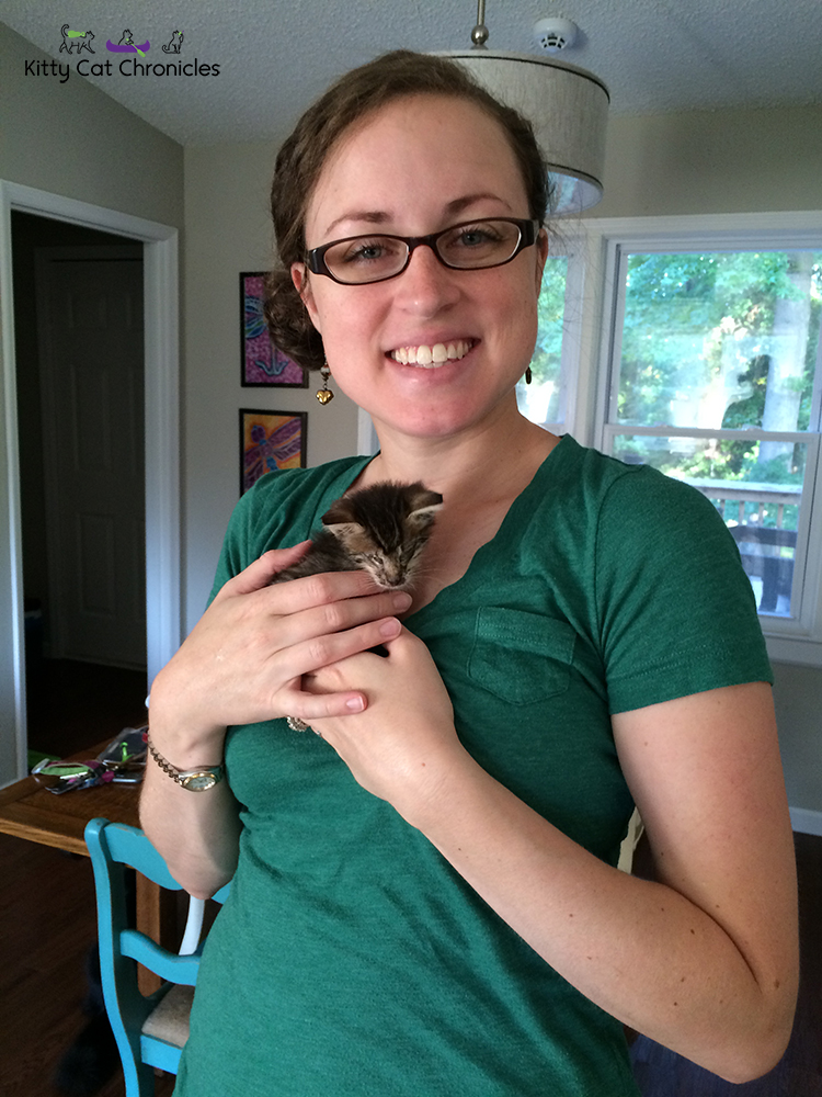 Tailspring Milk Replacers Saving Kitten Lives with Goat's Milk Kitty Cat Chronicles