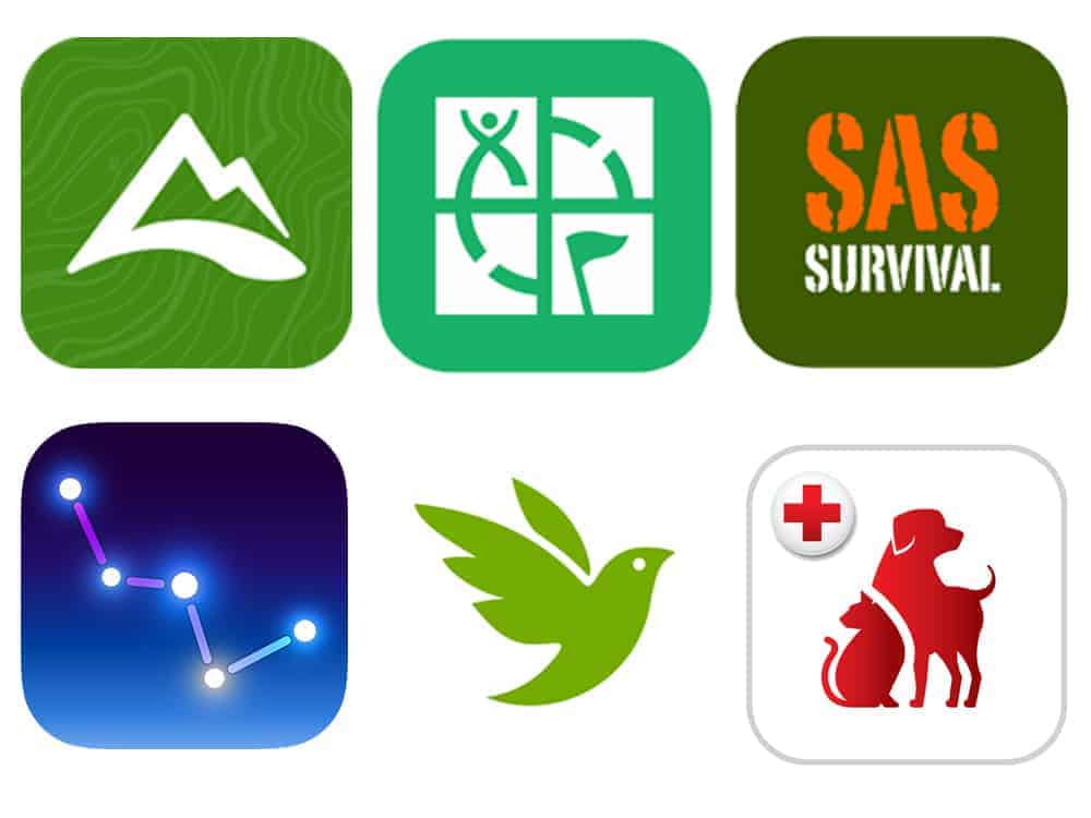 12 Apps for Traveling & Adventuring with Cats • KittyCatGO