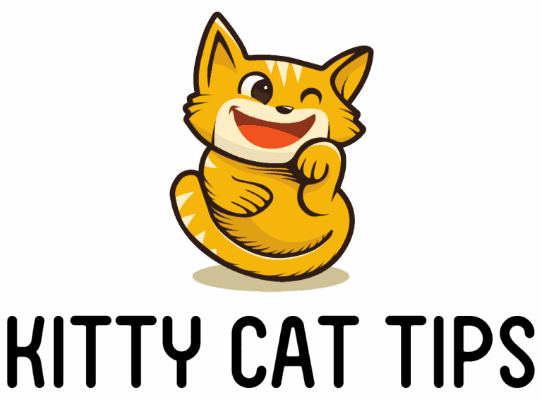 Why do cats lick their bums? Kitty Cat Tips